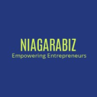 NiagaraBiz Finance Hub logo - Similar company to Prosim Financial Group