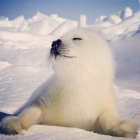 I logo - Similar company to Cfotasks.Com