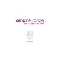 amb Insurance Services Ltd logo - Similar company to Faversham Underwriting Limited