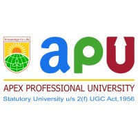 Apex Professional University (APU) logo - Similar company to Vivek University India