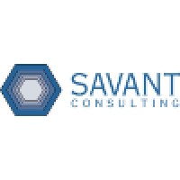 Savant Consulting logo - Similar company to Elinori Llc