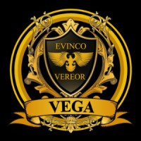 Dan Vega Business logo - Similar company to Flow Advisors