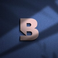 Bestrong Real Estate logo - Similar company to Bertling Edi Service & It Gmbh (Besitec)