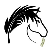 Eigenaar Paardencoach aan Zee | Stal Paradiso