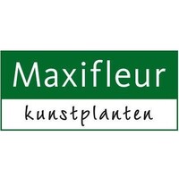 Maxifleur kunstplanten logo - Similar company to Abei Decor