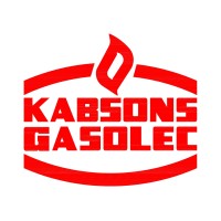 Gasolec Appliances Pvt. Ltd. logo - Similar company to Digizone