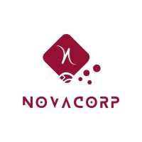 NOVACORP TECHNOLOGIES PRIVATE LIMITED logo - Similar company to Vswank Technologies