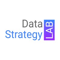 Data Strategy Lab logo - Similar company to Rohic Inc.