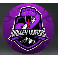 Virginia Valley Vipers logo - Similar company to Advanced Contents Recovery