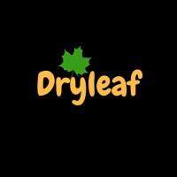 Dryleaf logo - Similar company to Telecon Design/Rogers Communications Inc