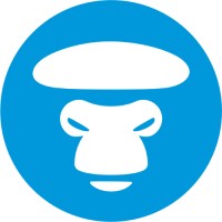 APE Fitness logo - Similar company to Tls Tutorials
