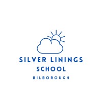 Silver Linings Education Ltd logo - Similar company to Edison Pace School