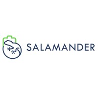 SALAMANDER Project logo - Similar company to Battery Interface Genome – Materials Acceleration Platform (Big-Map)