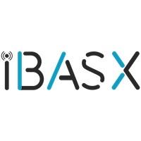iBASX logo - Similar company to Measuremen
