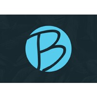 Blue Point Advertising Agency logo - Similar company to Graphitator