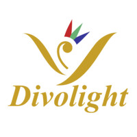 Divolight Israel - דיבולייט ישראל logo - Similar company to Cd-Log