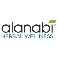 PT Berkah Ala Nabi logo - Similar company to Institut Ptiq Jakarta