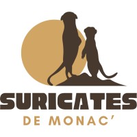 Suricates de Monac logo - Similar company to Fdac Des P.O.