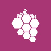 Vine IT Academy logo - Similar company to Blackbelt It Solutions