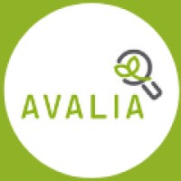 Avalia logo - Similar company to Avalia Systems