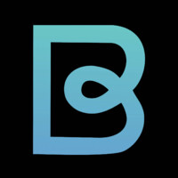 Bridge logo - Similar company to Triibes: Smart Contact Book