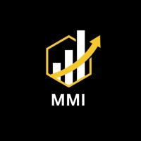 MMI Digital Marketing Agency logo - Similar company to Property Visualizer