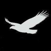 Silverhawk Consultancy Services Ltd