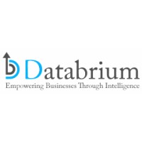 Databrium logo - Similar company to Analytics Career