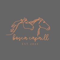 Bosca Capaill Mobile Pizzeria & Cafe logo - Similar company to Zursh