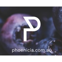 Phoenicia logo - Similar company to Xavier Dinner