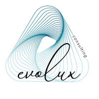 EVOLUX CONSULTANCY logo - Similar company to Infinite Brands