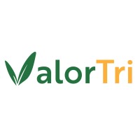 ValorTri logo - Similar company to Valops