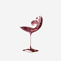 Connoisseur Wine and Spirits Consultancy CO., LTD. logo - Similar company to Vins Selection