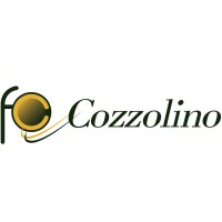 Cozzolino Materiale Elettrico srl logo - Similar company to Omnivolt