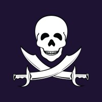 Black Flag Manufacturing logo - Similar company to Millenium Products Inc