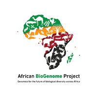 African BioGenome Project logo - Similar company to West African Genetic Medicine Centre (Wagmc)