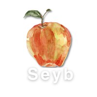 Seyb Digital logo - Similar company to Fetch Marketing (Pvt) Ltd