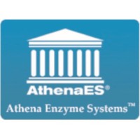 Athena Enzyme Systems logo - Similar company to Smarthost Design Technologies (Smarthost)