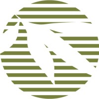 Bamboo Revolution logo - Similar company to Botaniqbulk