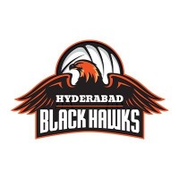Hyderabad Black Hawks logo - Similar company to Devpixel Devils