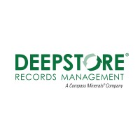 DeepStore logo - Similar company to Dapian