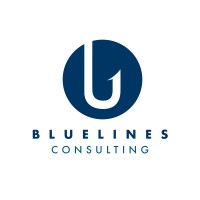 BlueLines Consulting logo - Similar company to Mtab Usa Inc