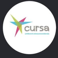 CVO-CURSA logo - Similar company to Itinera - Career & Talent Management