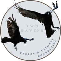 Two Ravens Consulting logo - Similar company to Satumedis