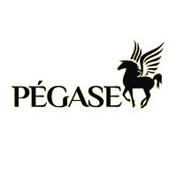 Pégase Afrique logo - Similar company to Street Dispatch