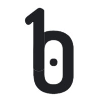 bainry logo - Similar company to Unify