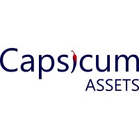 Capsicum Assets logo - Similar company to Npl Brasil