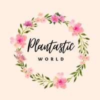 Plantastic World logo - Similar company to Evique
