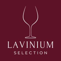 Lavinium logo - Similar company to Her Tech