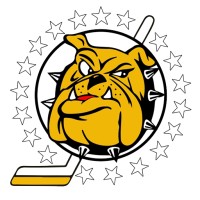 Hockey Club Varese 1977 Cooperativa Sportiva Dilettantistica logo - Similar company to Hockey Club Milano Devils
